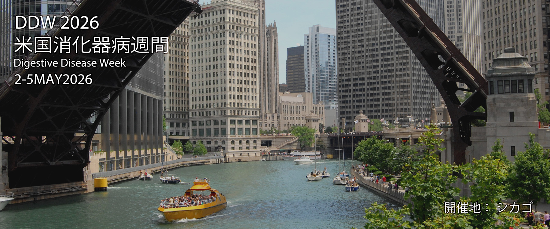 DDW 2026 米国消化器病週間
